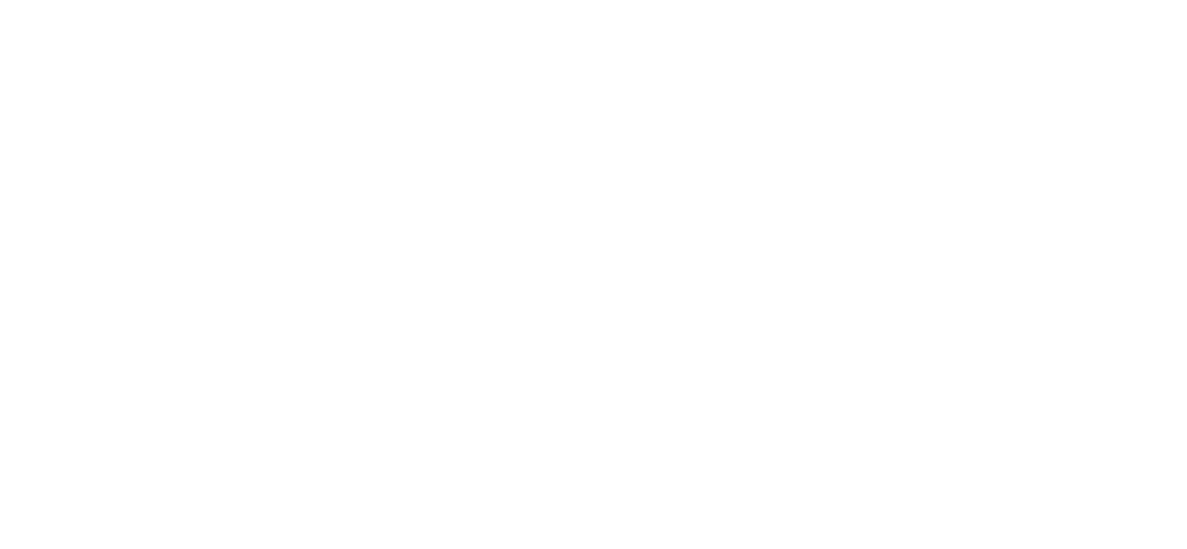 VoiceNoto Logo